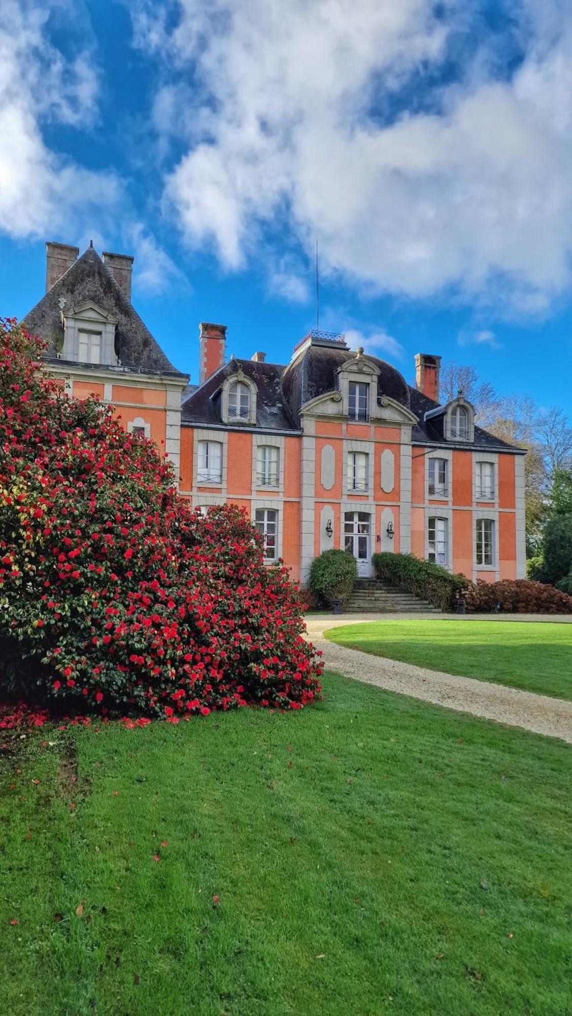 Château de Chantore Bacilly Exterior foto