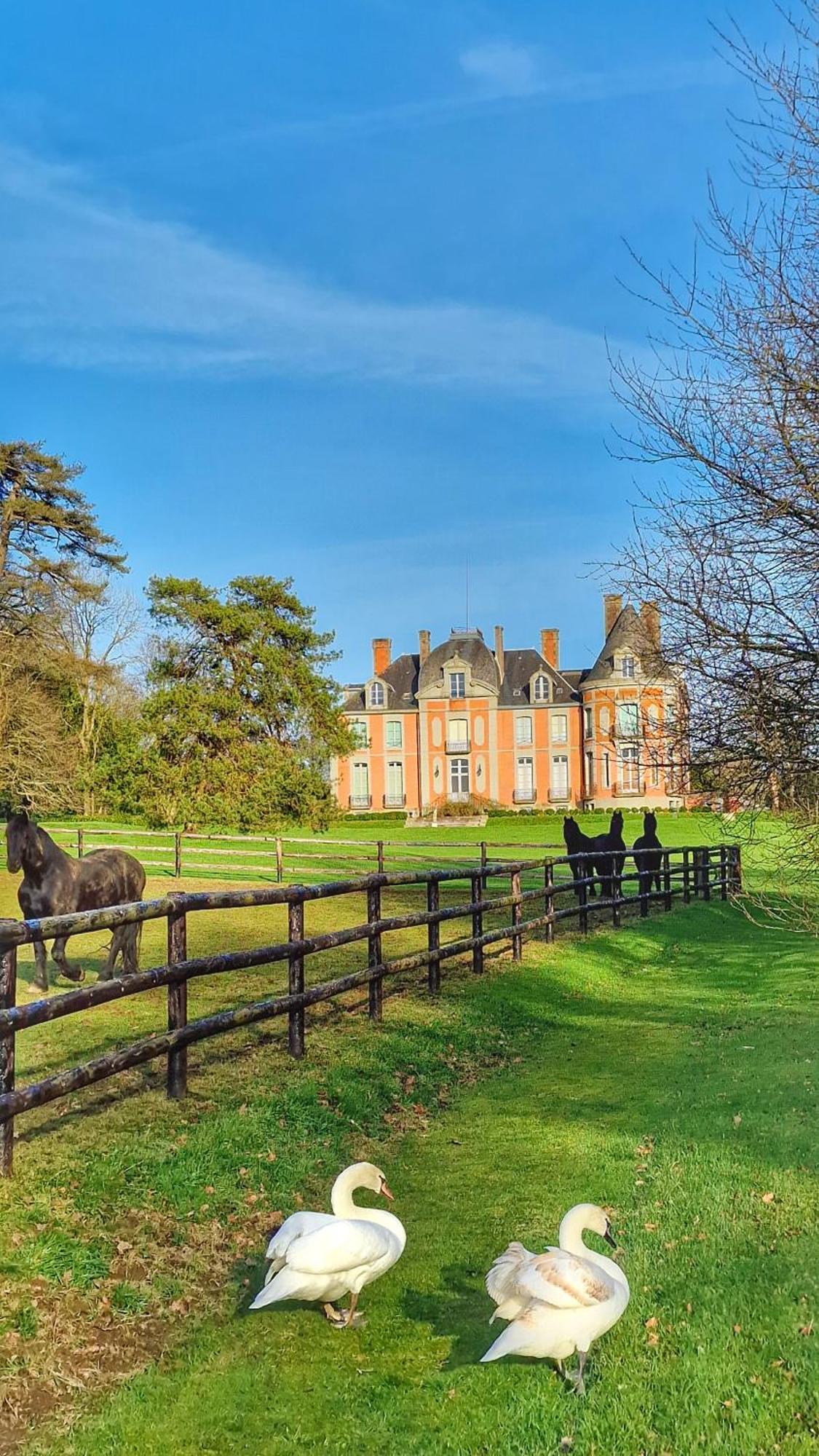 Château de Chantore Bacilly Exterior foto