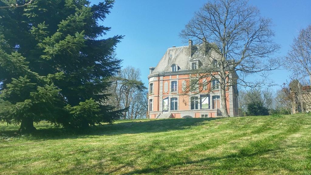 Château de Chantore Bacilly Exterior foto