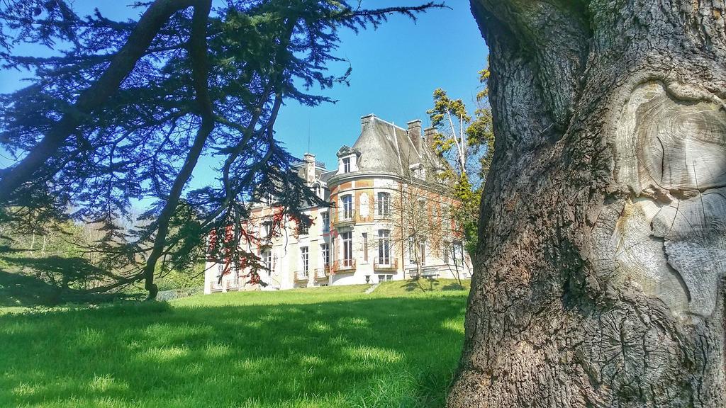 Château de Chantore Bacilly Exterior foto
